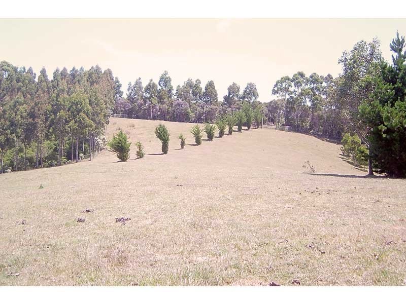 55 Old Coach Road, Yuulong VIC 3237