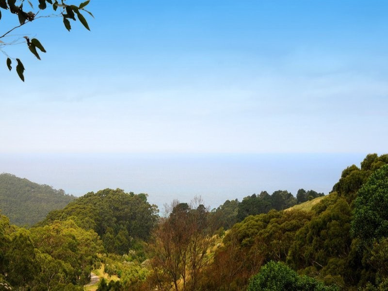 140 Biddles Road, Apollo Bay VIC 3233