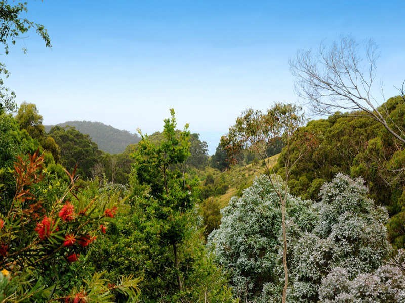 140 Biddles Road, Apollo Bay VIC 3233