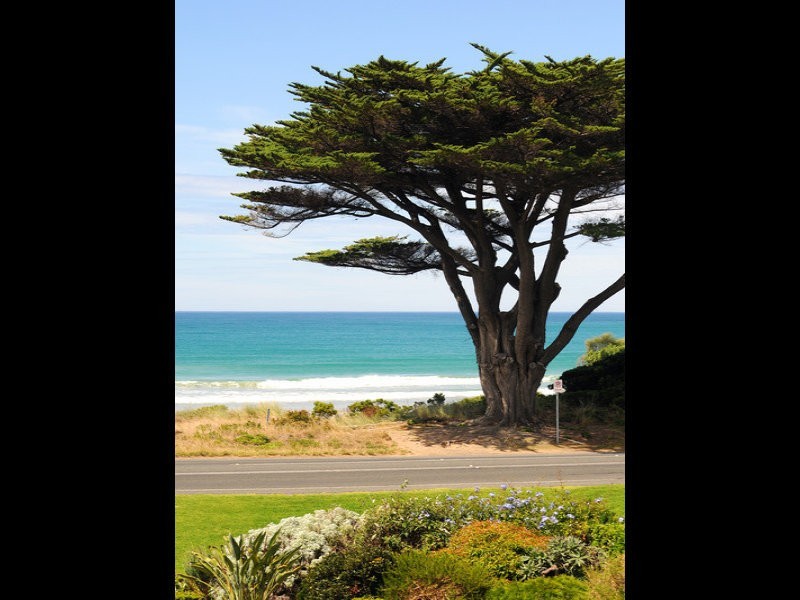 245 Great ocean Road, Apollo Bay VIC 3233