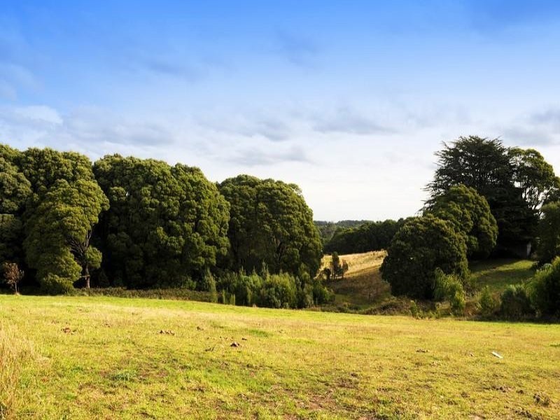 33-39 Great Ocean Road, Lavers Hill VIC 3238