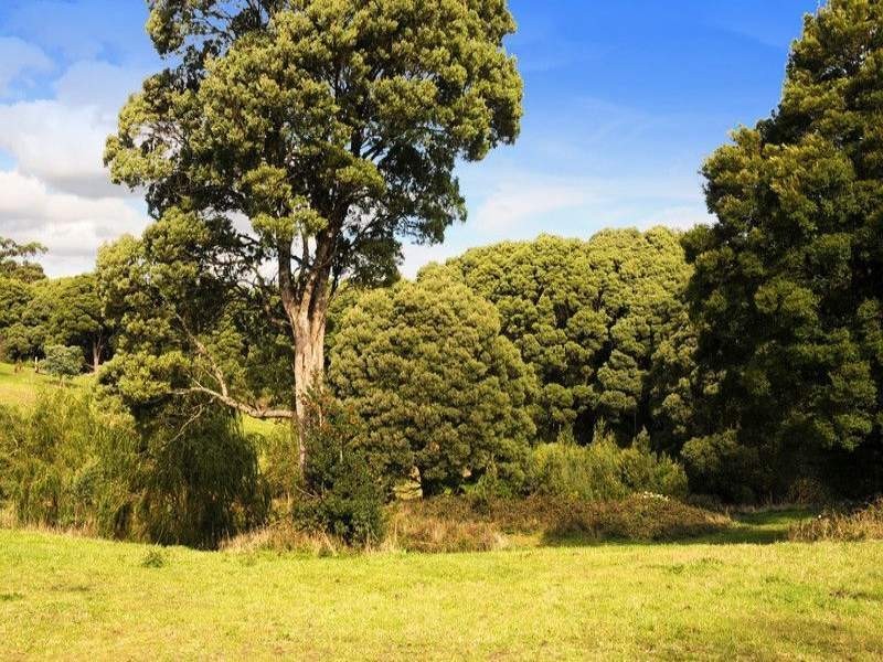 33-39 Great Ocean Road, Lavers Hill VIC 3238