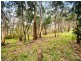 75 Old Coach Road, Apollo Bay VIC 3233