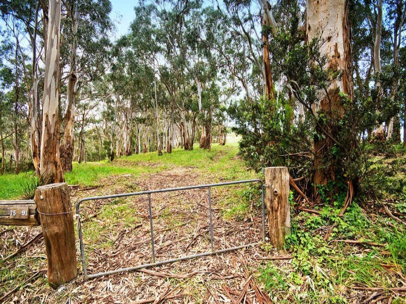 81 Old Coach Road, Apollo Bay VIC 3233