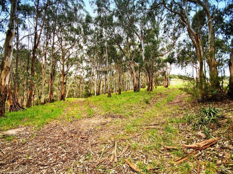 81 Old Coach Road, Apollo Bay VIC 3233