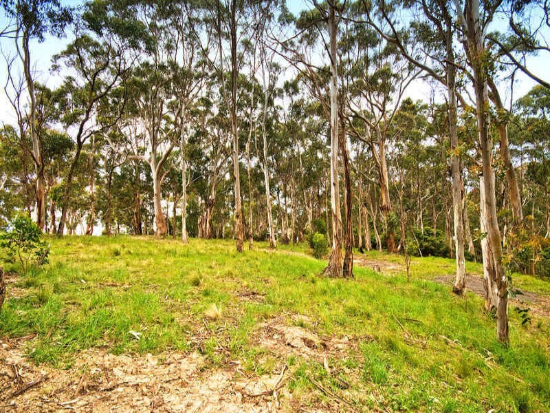 81 Old Coach Road, Apollo Bay VIC 3233