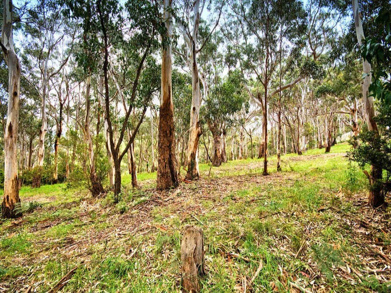 81 Old Coach Road, Apollo Bay VIC 3233