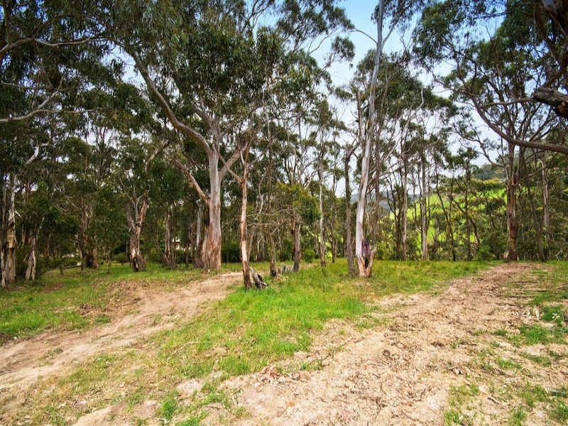 81 Old Coach Road, Apollo Bay VIC 3233