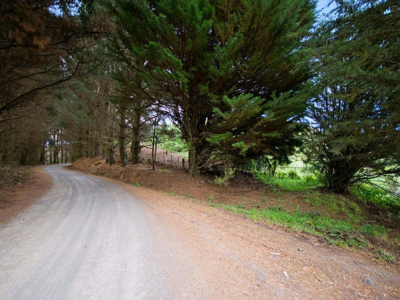 700 Wild dog Road, Apollo Bay VIC 3233