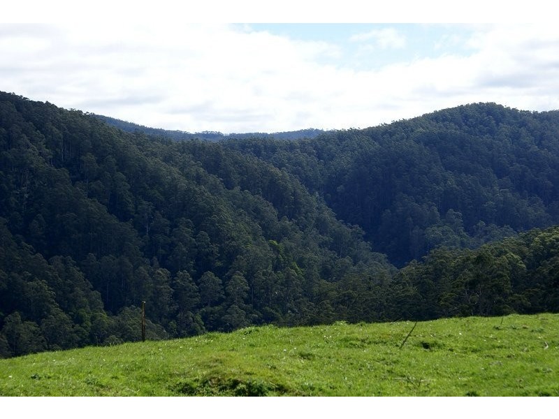 700 Wild dog Road, Apollo Bay VIC 3233