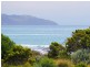 295 Great Ocean Road, Apollo Bay VIC 3233