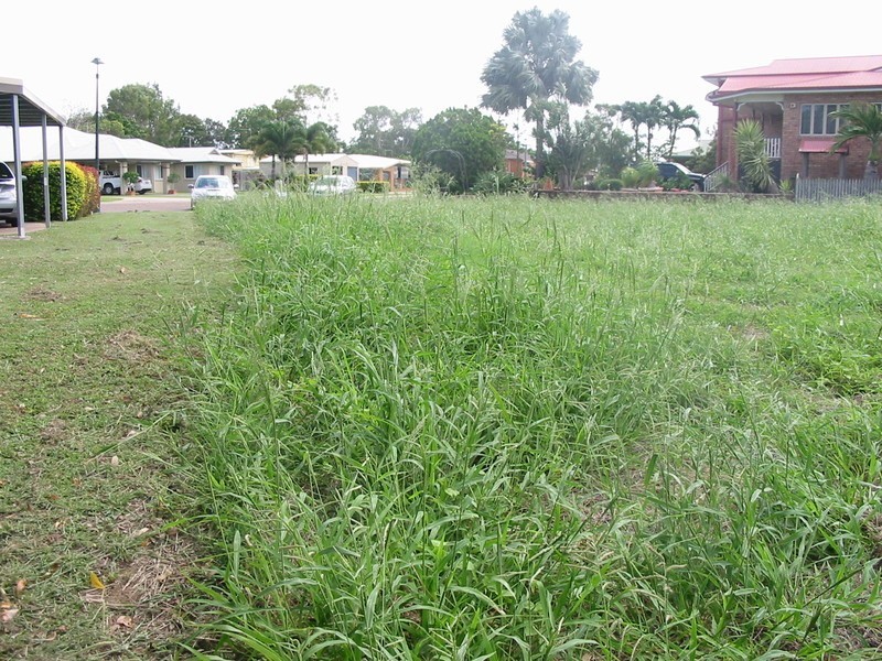 10 McIntyre Place, Ayr QLD 4807