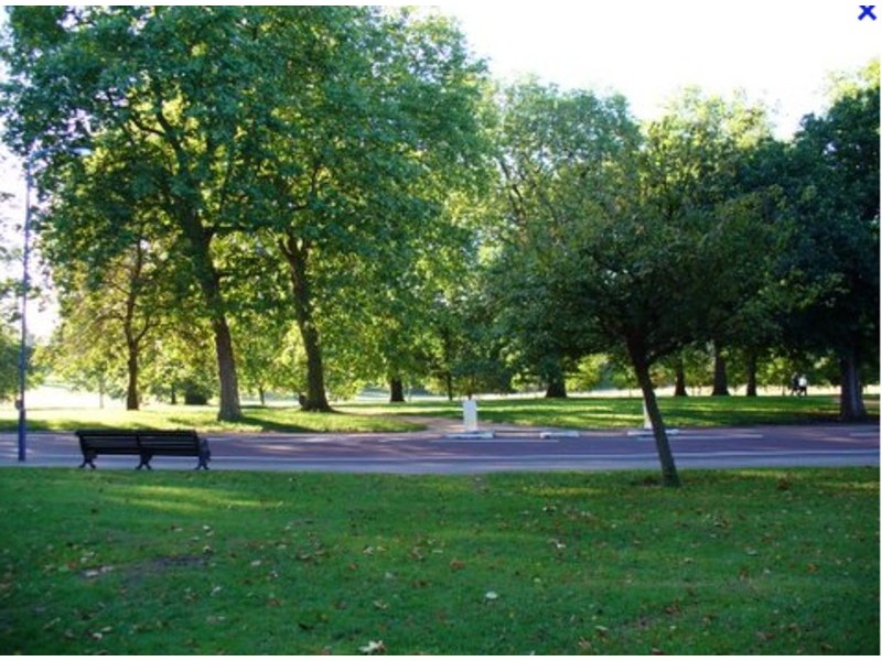 Caulfield South VIC 3162