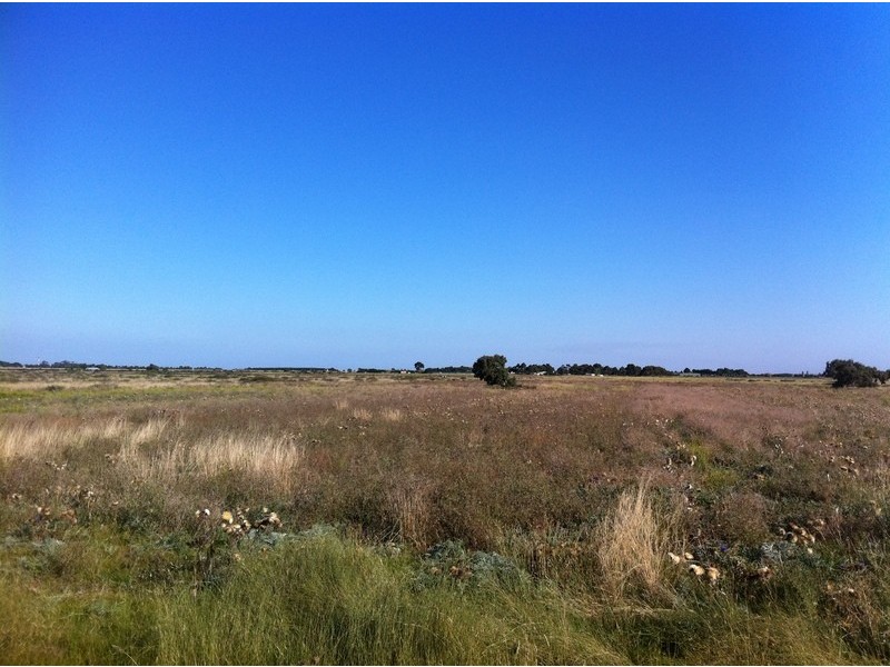 Lot 699 Grassland Drive, Point Cook VIC 3030