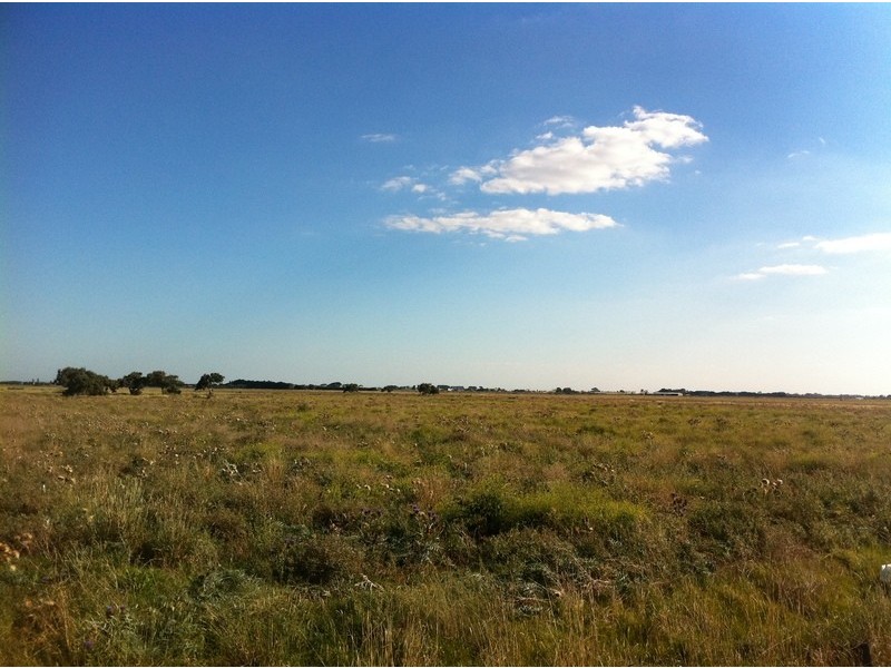 Lot 699 Grassland Drive, Point Cook VIC 3030