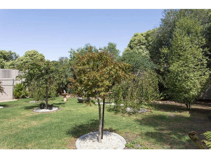 14 Cranham Street, Caulfield VIC 3162