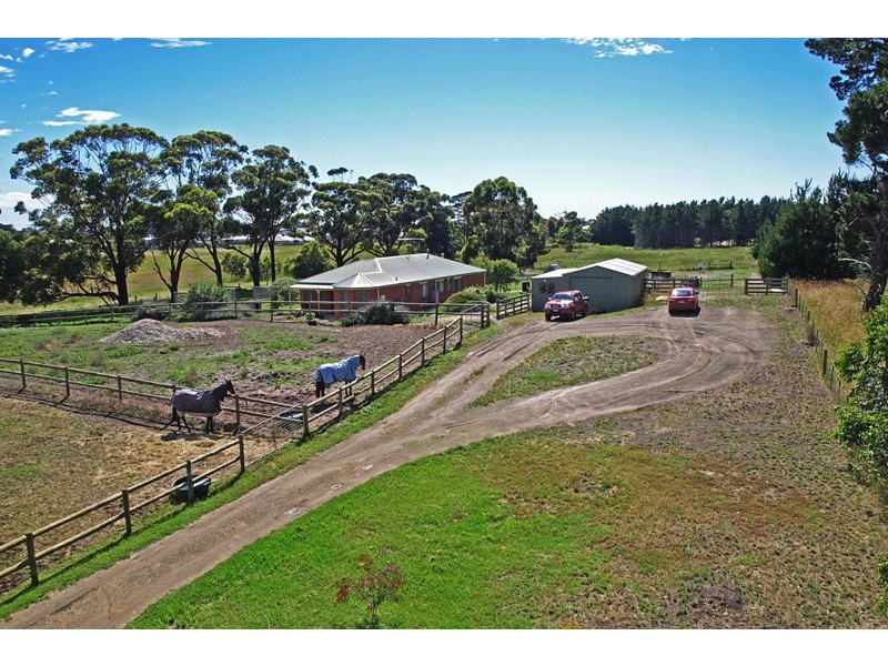 Indented Head VIC 3223