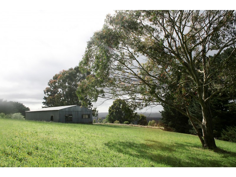 230 Blue Johanna Road, Johanna VIC 3238