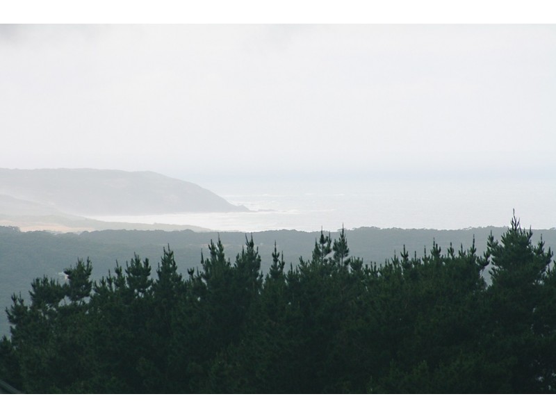 230 Blue Johanna Road, Johanna VIC 3238