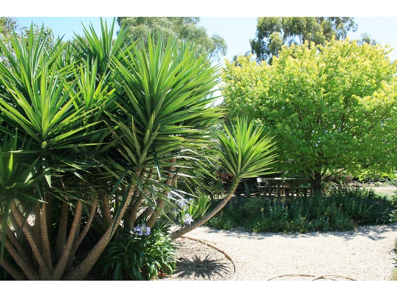 Bellarine VIC 3221