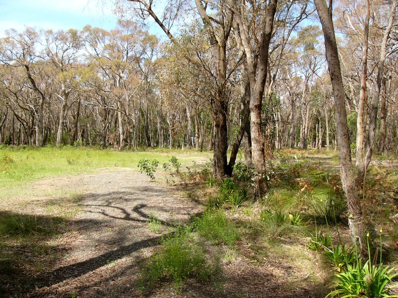 565 Wormbete Station Road, Gherang VIC 3240