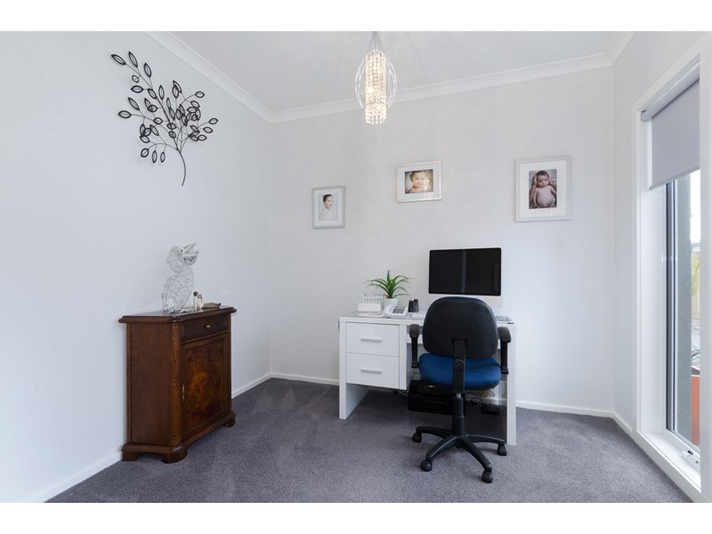 17 Rippleside Drive, Torquay VIC 3228