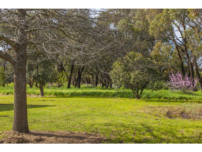 312 Rhinds Road, Wallington VIC 3221