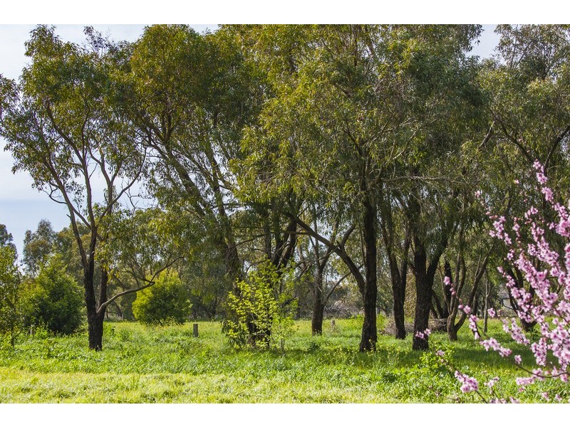 312 Rhinds Road, Wallington VIC 3221