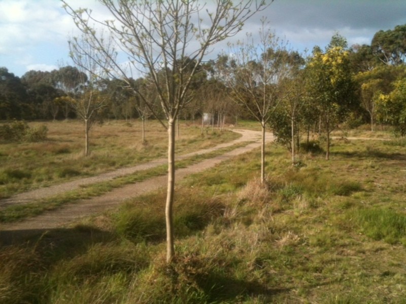 150 Swan Bay Road, Wallington VIC 3221