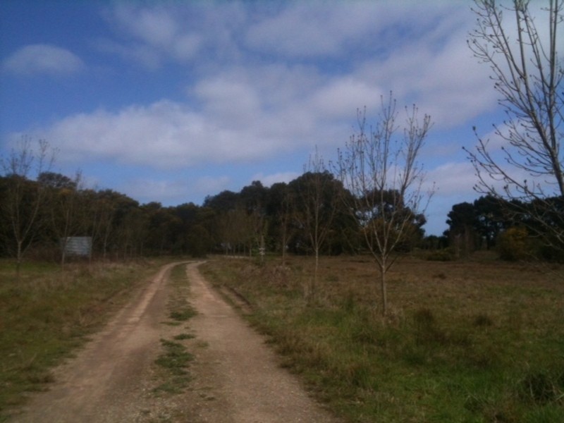 150 Swan Bay Road, Wallington VIC 3221