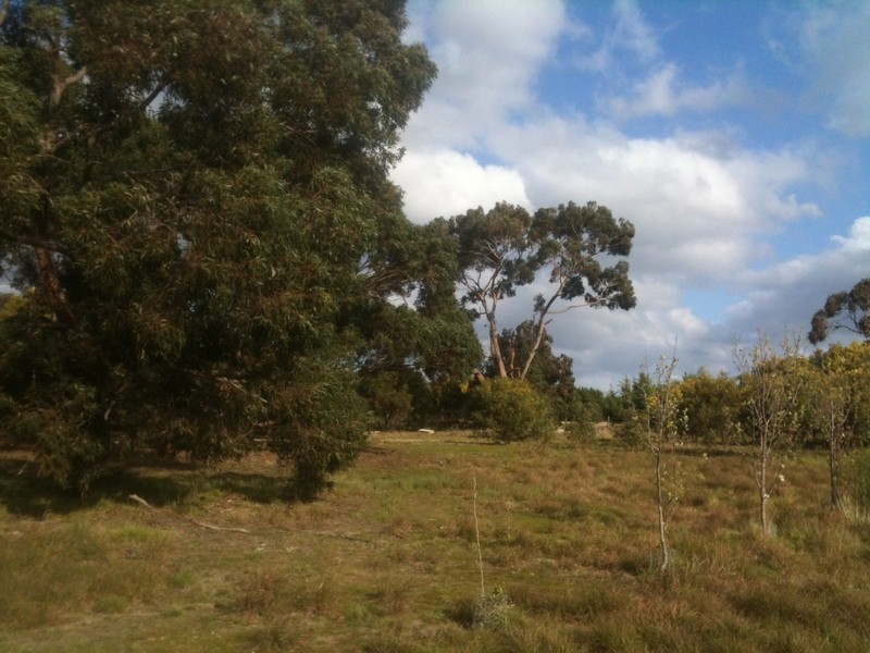 150 Swan Bay Road, Wallington VIC 3221