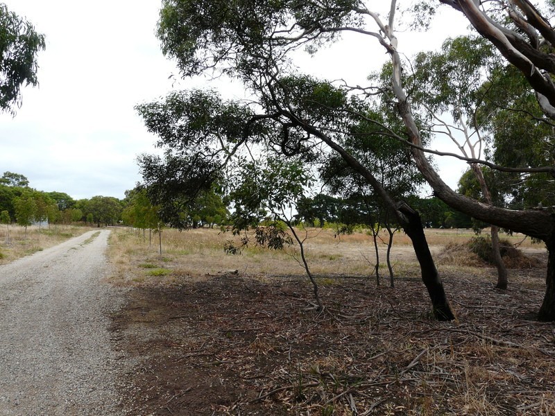 150 Swan Bay Road, Wallington VIC 3221