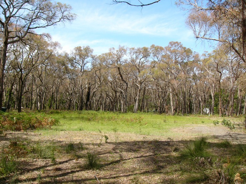 565 Wormbete Station Road, Gherang VIC 3240