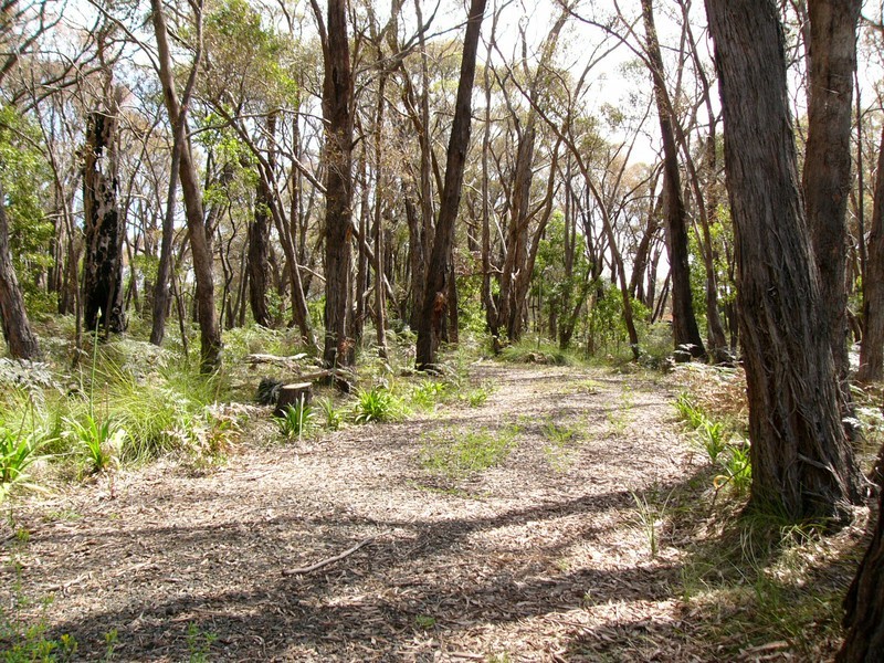 565 Wormbete Station Road, Gherang VIC 3240
