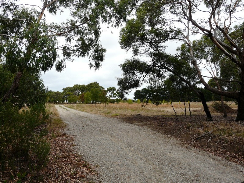150 Swan Bay Road, Wallington VIC 3221