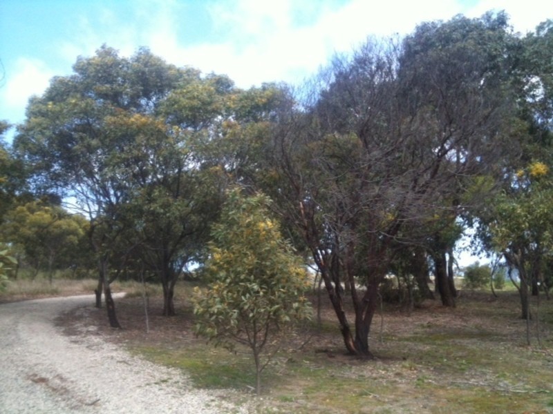 150 Swan Bay Road, Wallington VIC 3221