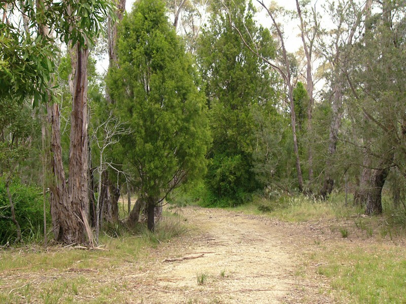 55 Noels Lane, Moriac VIC 3240