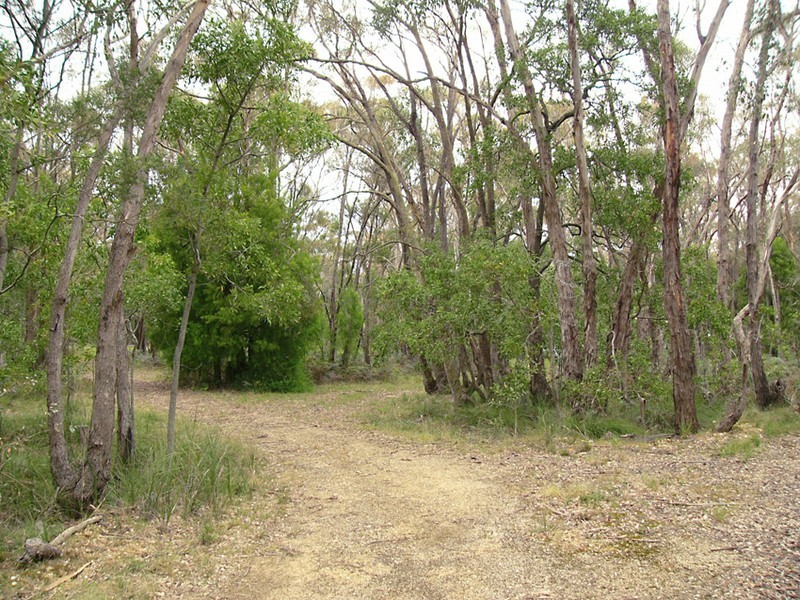 55 Noels Lane, Moriac VIC 3240