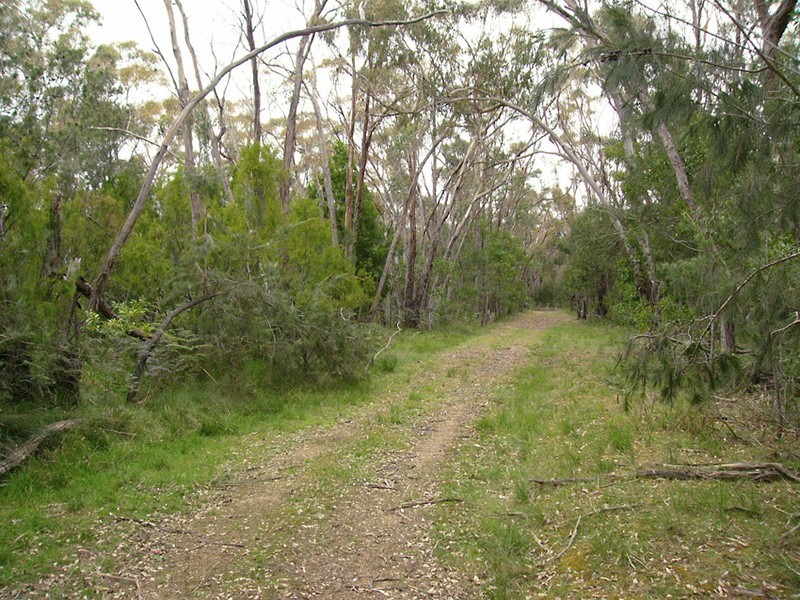 55 Noels Lane, Moriac VIC 3240