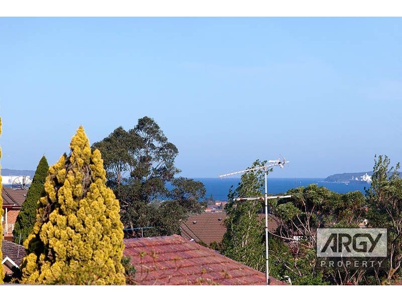 19 Atkinson Street, Arncliffe NSW 2205