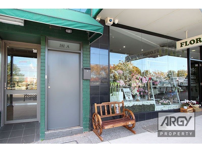 181a Wattle Street, Mount Lewis NSW 2190