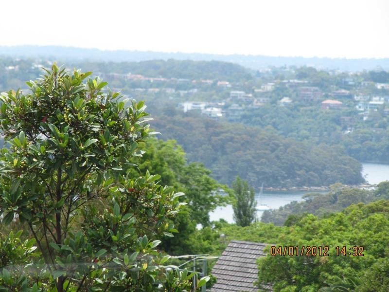 1A Dalton Road, Mosman NSW 2088