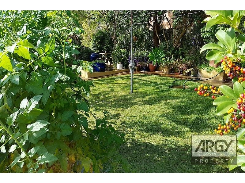 25 Washington Street, Bexley NSW 2207