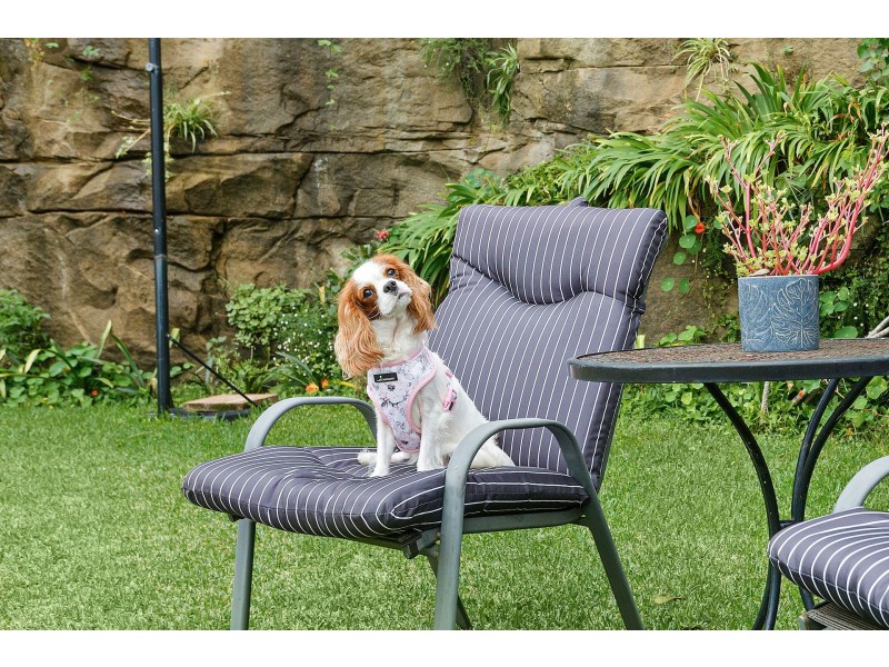 11 Bibby Street, Carlton NSW 2218