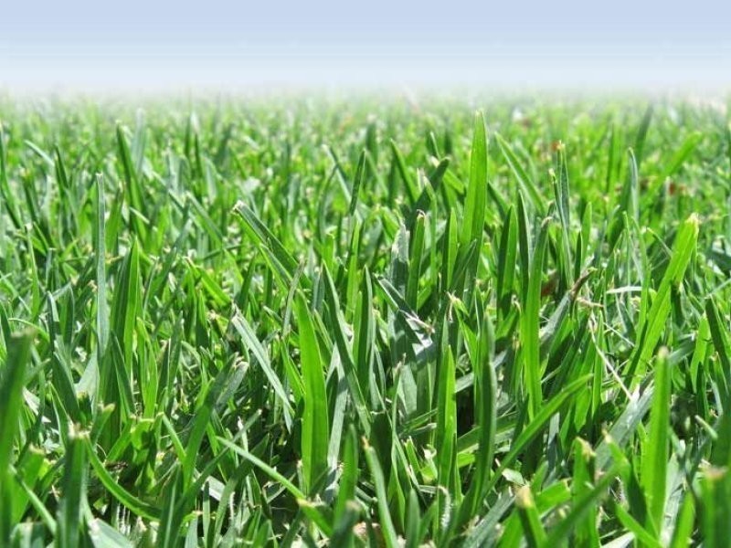 Lot 18 Catherine Drive, Hillside VIC 3037