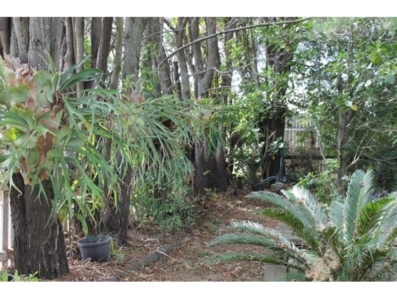 2 Perkins Street, Sandgate QLD 4017