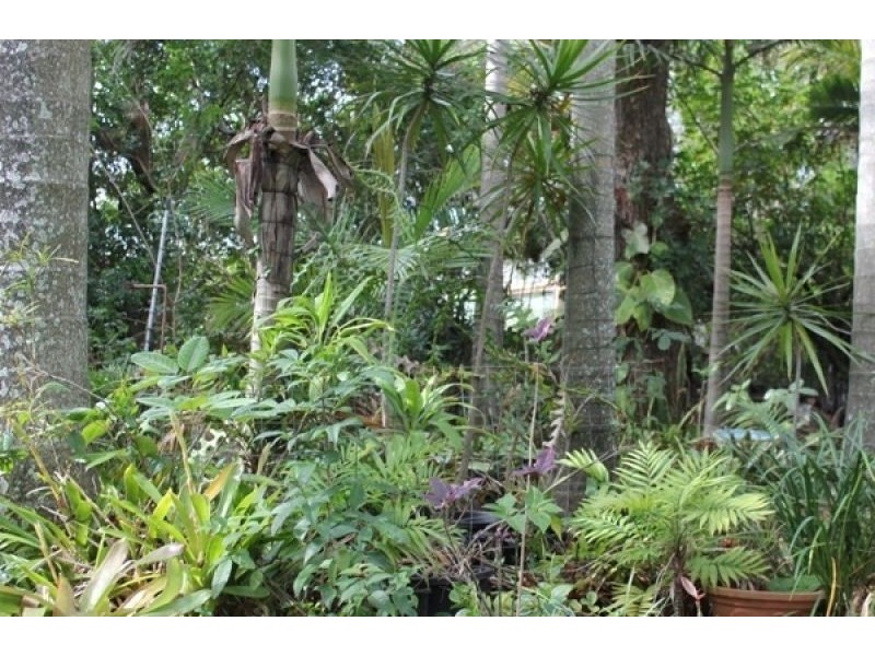 2 Perkins Street, Sandgate QLD 4017