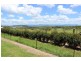 357 Old Rosevale Road, Warrill View QLD 4307