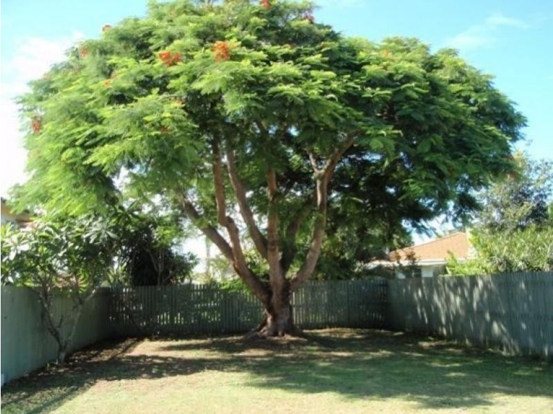 26 Thirteenth Avenue, Brighton QLD 4017