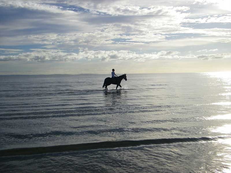 70 Griffith Street, Sandgate QLD 4017